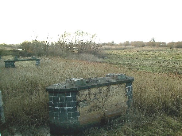 BAS 7158 Oderbrücke Neurüdnitz (alt