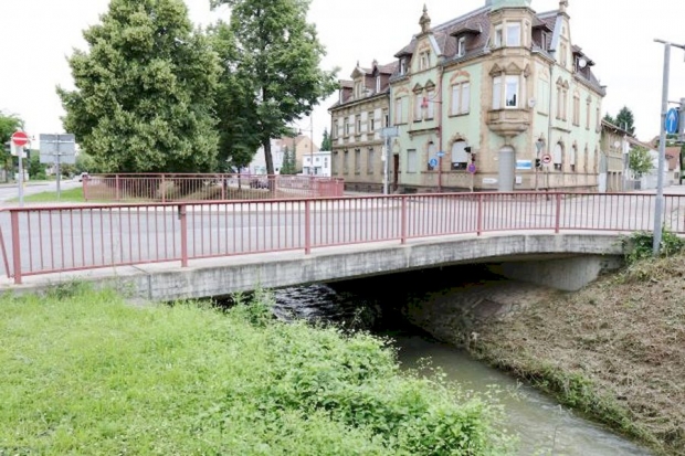 BAS 82115