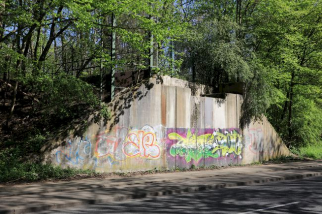 BAS 97343